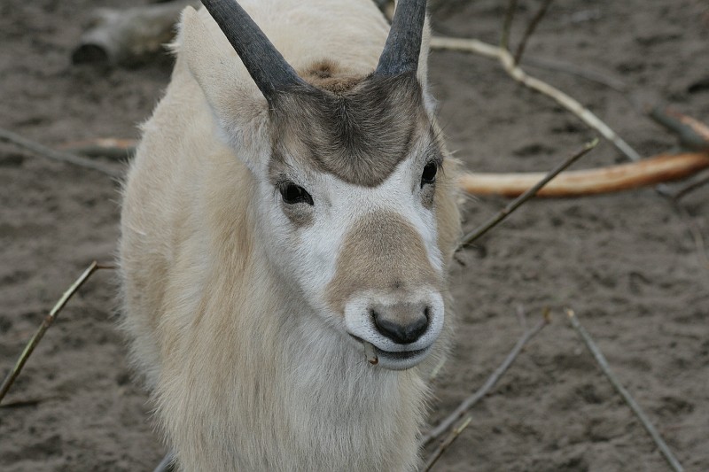 Fotoclubje Blijdorp 2008-20.jpg